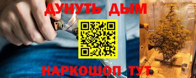 гидропоника Гатчина