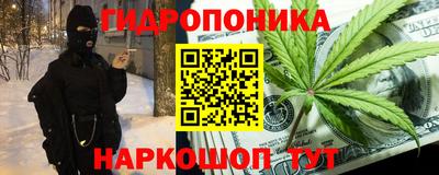 гидропоника Гатчина