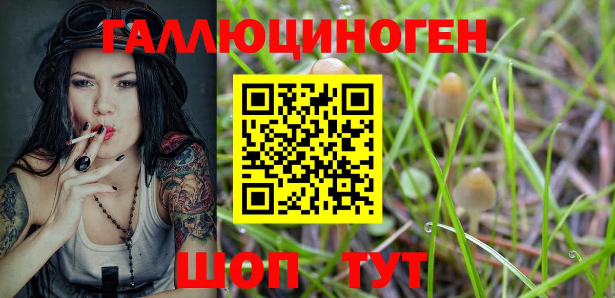 Псилоцибиновые грибы прущие грибы  Галлюциногенные грибы MAGIC MUSHROOMS  Вход с VPN  Малгобек 